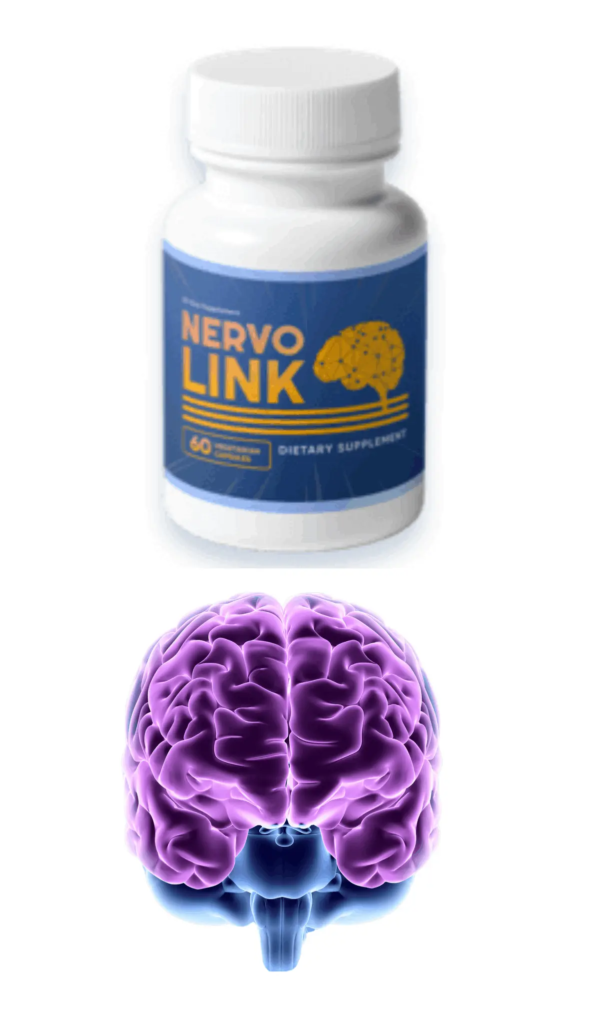 nervolink supplement